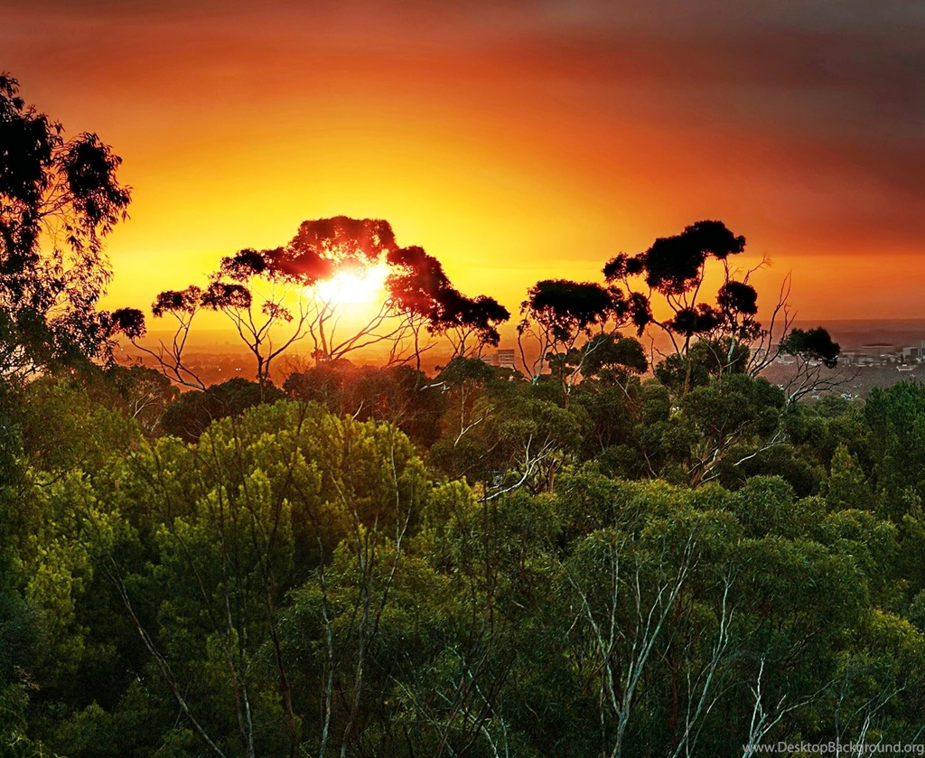 Hd Nature Wallpapers, Landscape, View, Nature Background Images ...