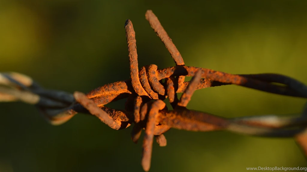 Brown Tag Wallpapers: Nice Brown Living Room Zynah Wallpapers ...