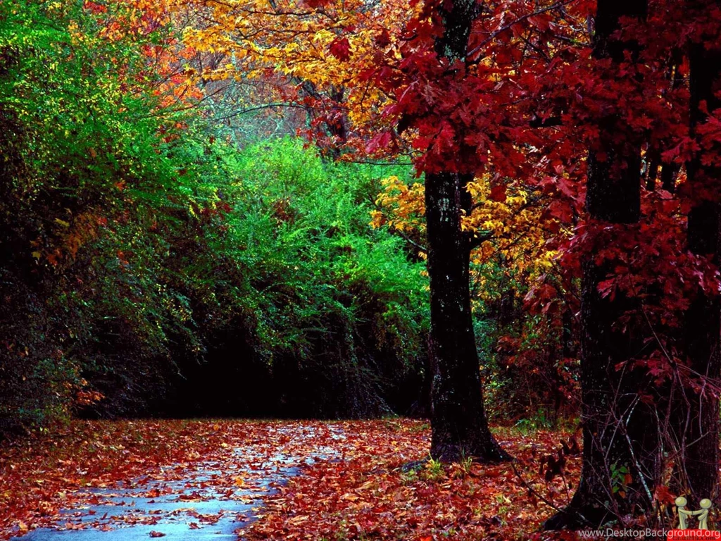 Matchless Nature View Wallpapers – HD Wallpapers Free Download