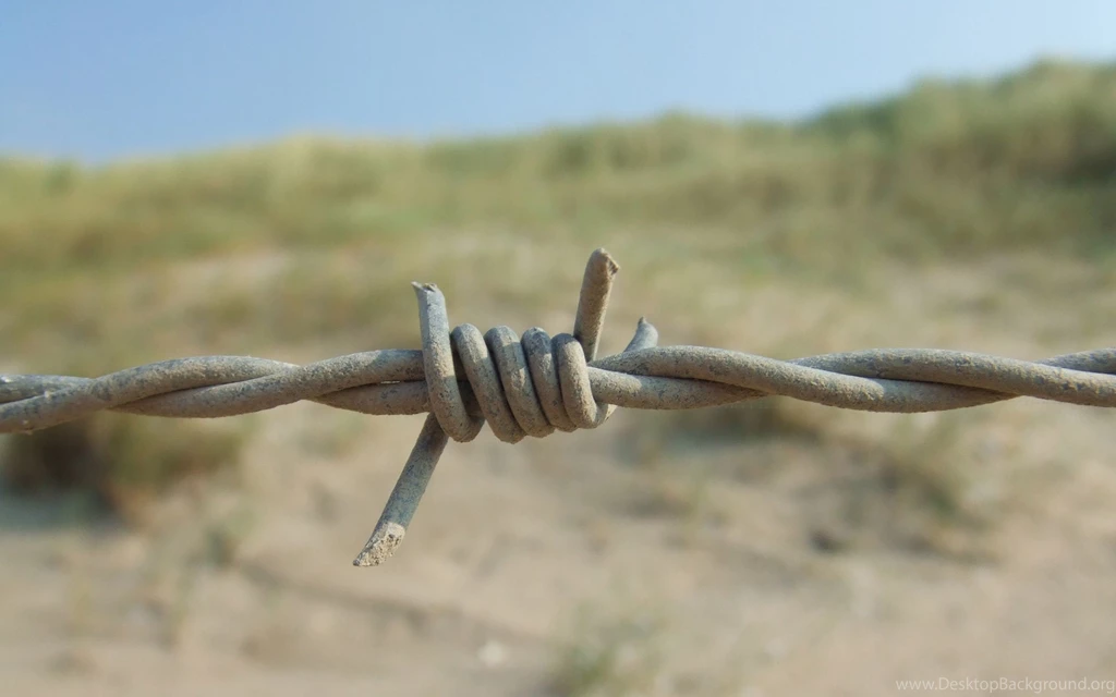 Barbed Wire Wallpapers