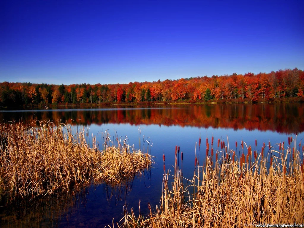 Desktop Wallpapers » Natural Backgrounds » Natural View ...