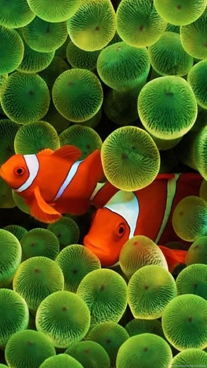 Galaxy S3 Wallpapers HD   Beautiful, Stunning Wallpapers