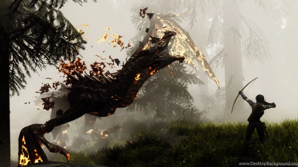 Download 2560x1440 Skyrim Headshot Wallpapers