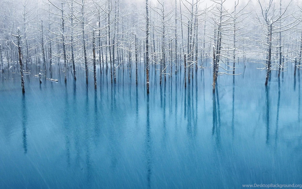 15 Beautiful New Wallpapers From OS X Mountain Lion