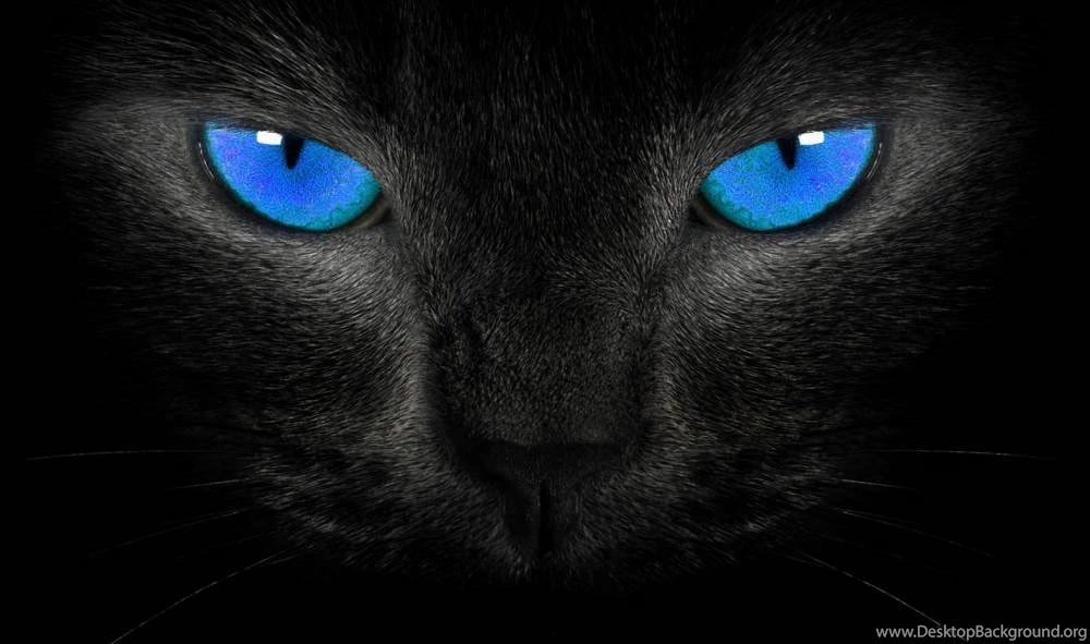 3D & Abstract Archives Page 13 Of 19 Free Desktop Wallpapers ...