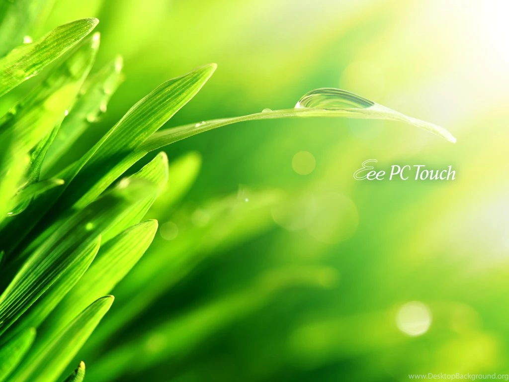 Asus t91 t101 mt wallaper download (3)