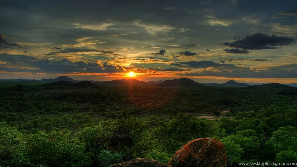Animal Wallpapers Border Wallpapers Online