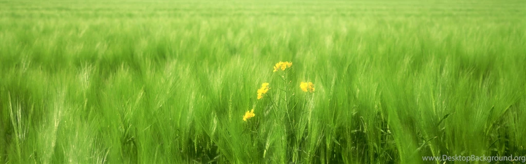 Windows 7 Multi Monitor Wallpapers Multi Monitor Wallpapers ...