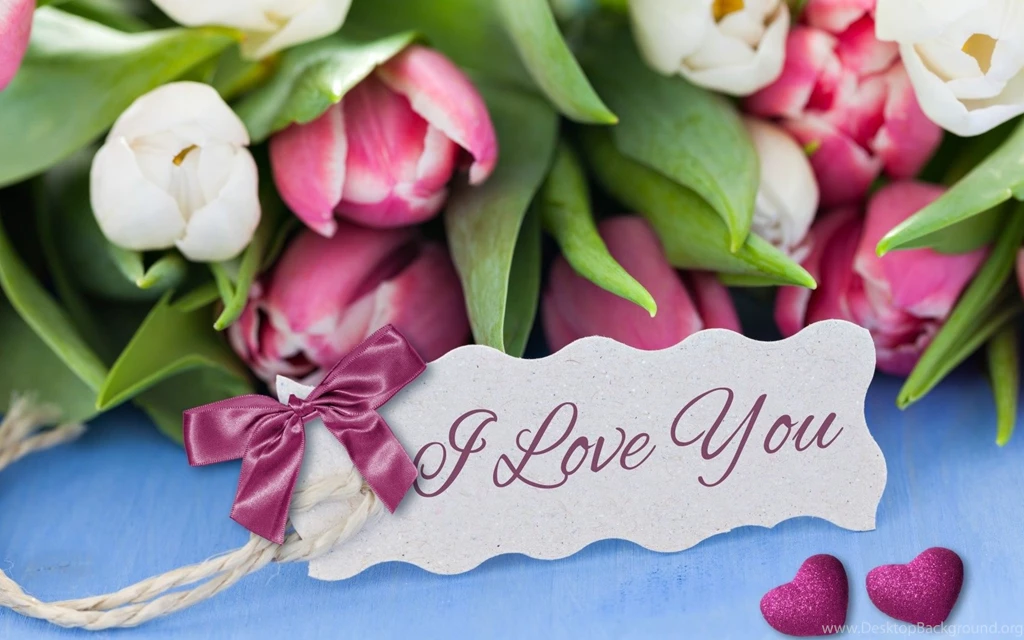 Download I Love You Wallpapers For Android