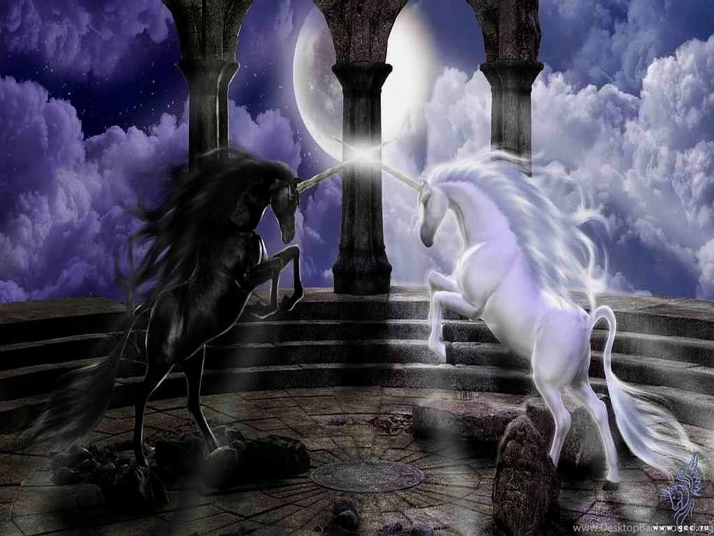 Wallpapers Magical Animals Unicorns Fantasy Image