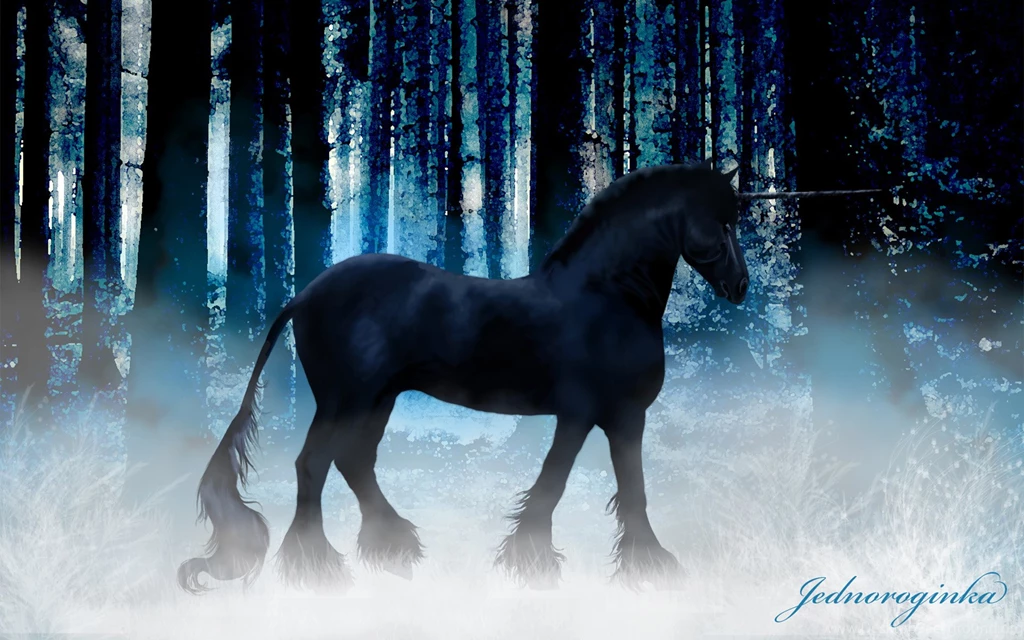 Black Unicorns 1 Free Hd Wallpapers Hivewallpaper.com