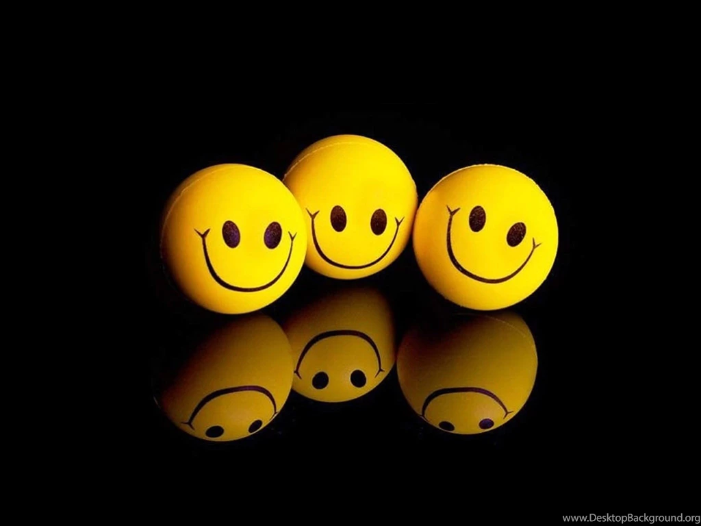 Funny Cute Wallpapers High Quality Resolution