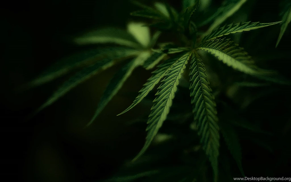 Drugs marijuana 1680x1050 wallpaper 626209.jpg