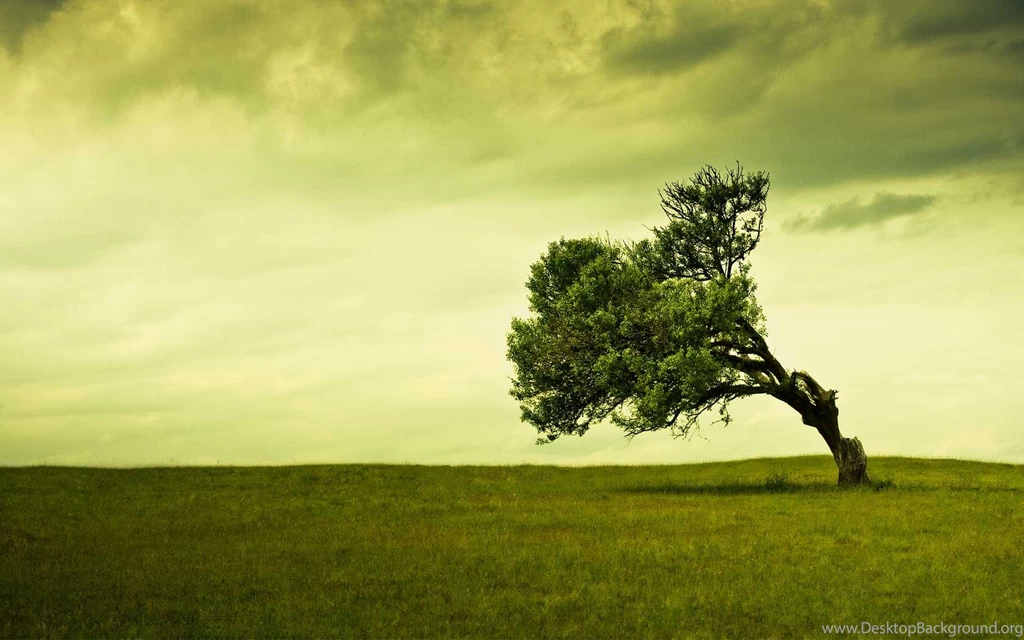 50 Nature Friendly Desktop Wallpapers