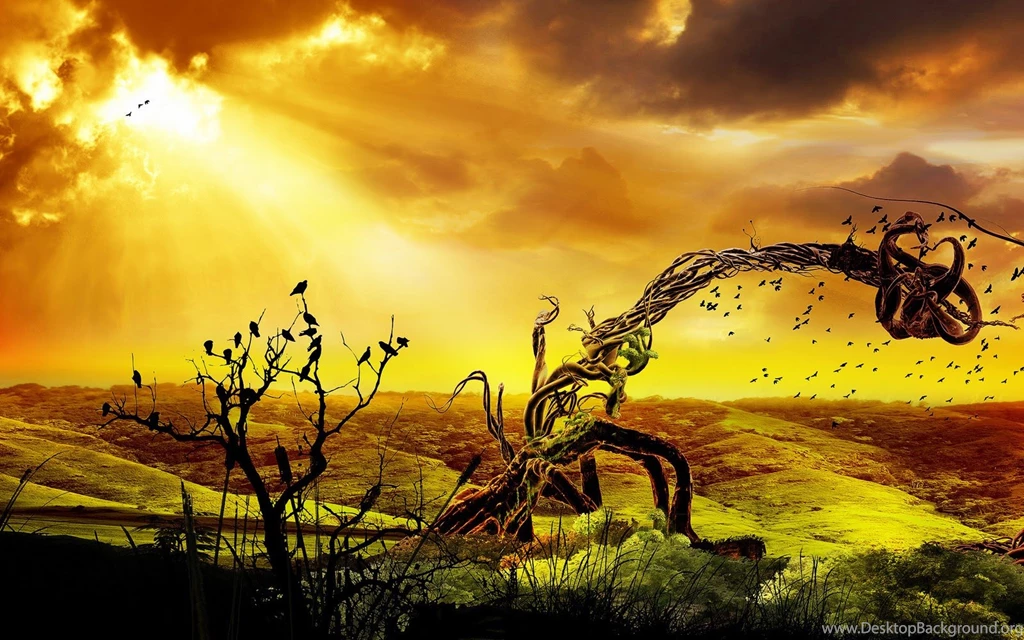 Best Collection Of Animation Wallpapers Wallpapers Gethdpics.com