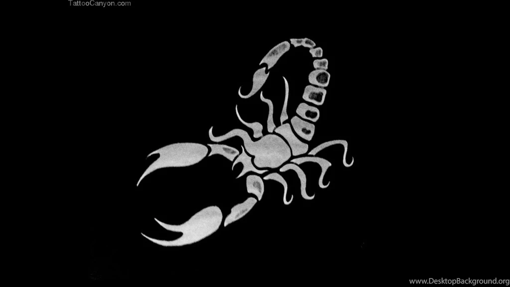 15389 wallpapers scorpio tattoo scorpion 1024x768 43218 tattoo design 1920x1080.jpg