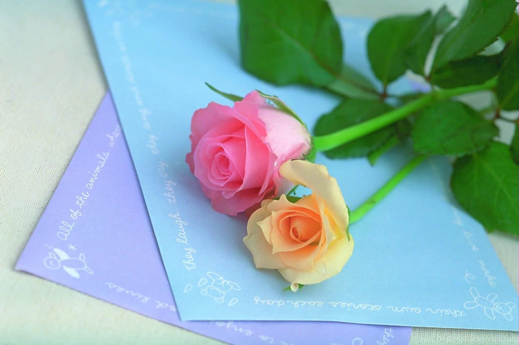 Happy Rose Day Downlad HD Wallpapers