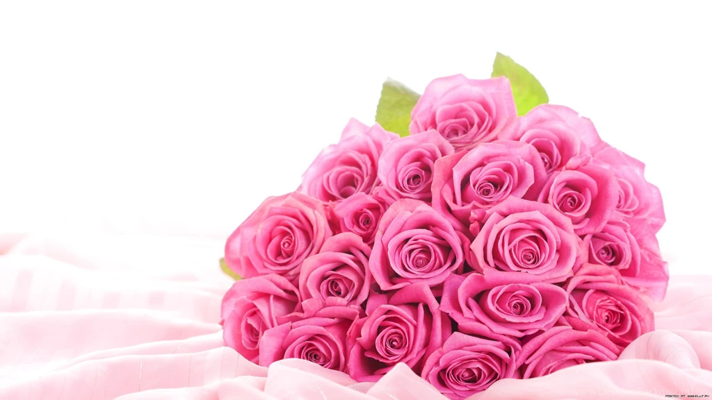Rose Flowers Wallpapers HD Wallpapers Desktop Wallpapers ...