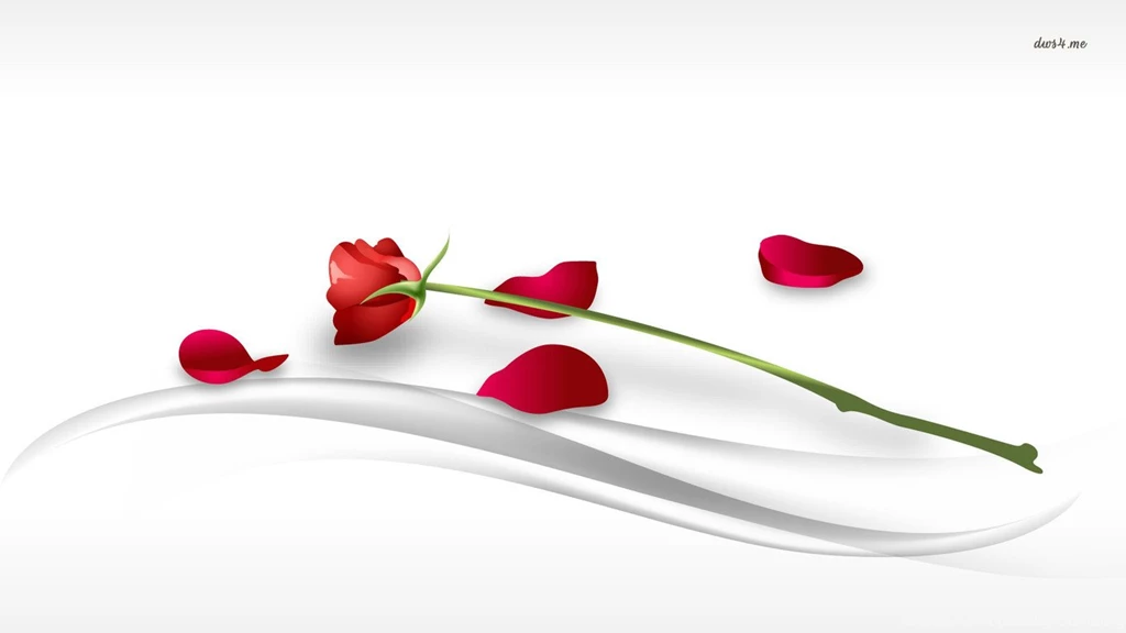 Red Rose Wallpapers   Flower Wallpapers