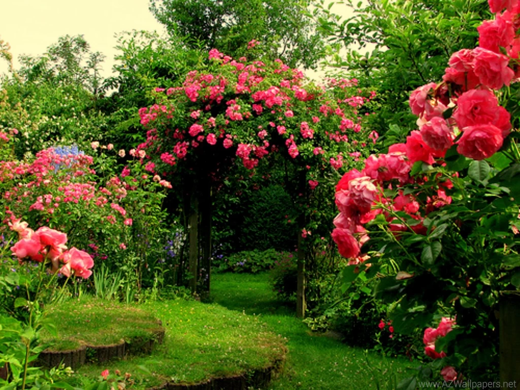 Flower Garden: Rose Garden Wallpapers Hd Wallpapers Wide, 32 ...