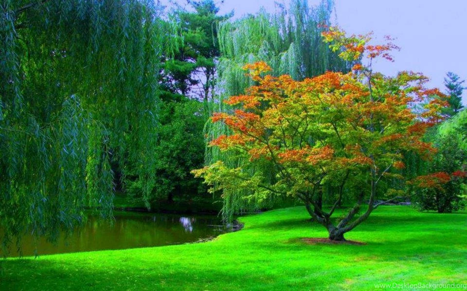 World Best Wallpapers Free Download Wallpapers HD Wide