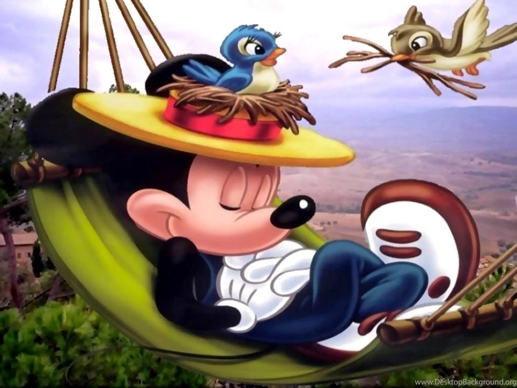 Disney World Desktop Wallpapers Walt Disney Photos Of Disney World ...