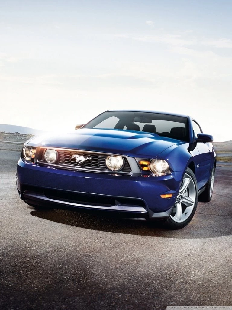 FORD MUSTANG SHELBY GT500 HD Desktop Wallpapers : Widescreen : High ...