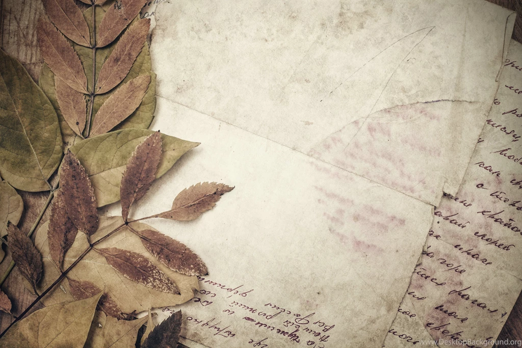 Vintage leaves and letter free desktop wallpaper 5606×3737.jpg ...