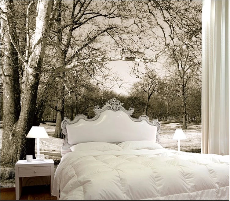 Large 3D Stereo Wallpapers Black And White Nature Forest Trees ...