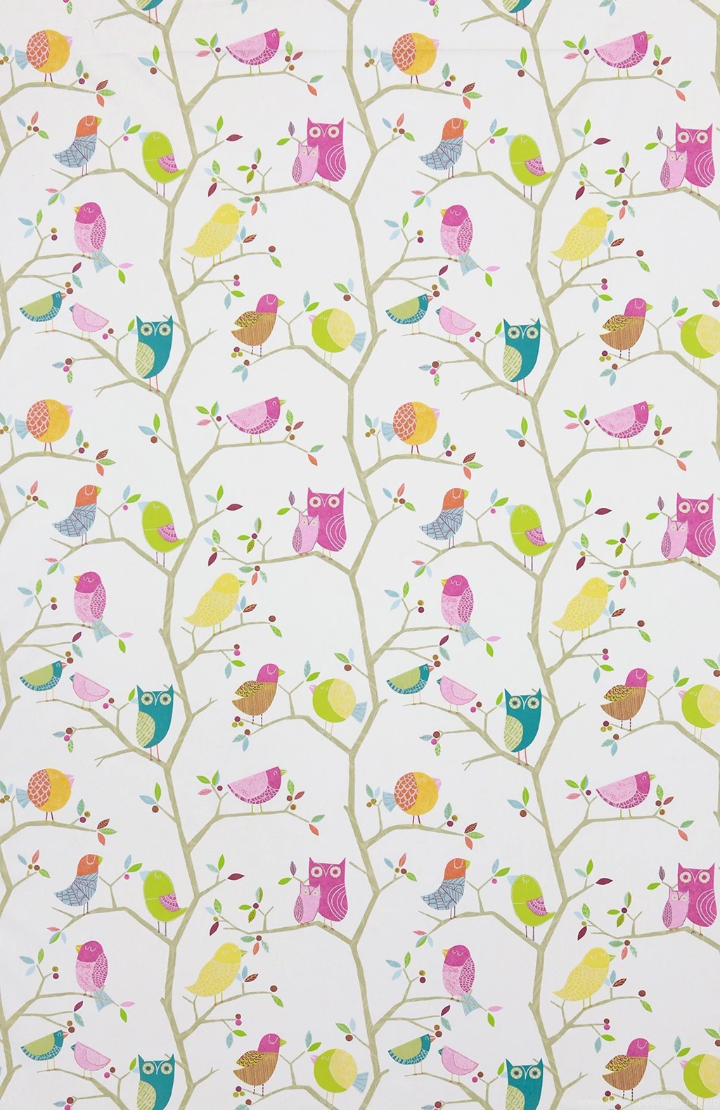 What A Hoot By Harlequin : Wallpapers Direct