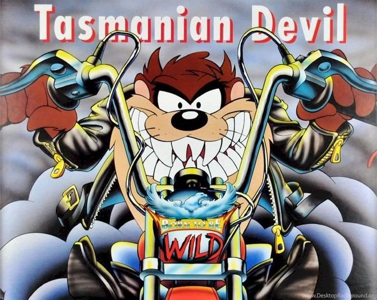 Tasmanian Devil Looney Tunes