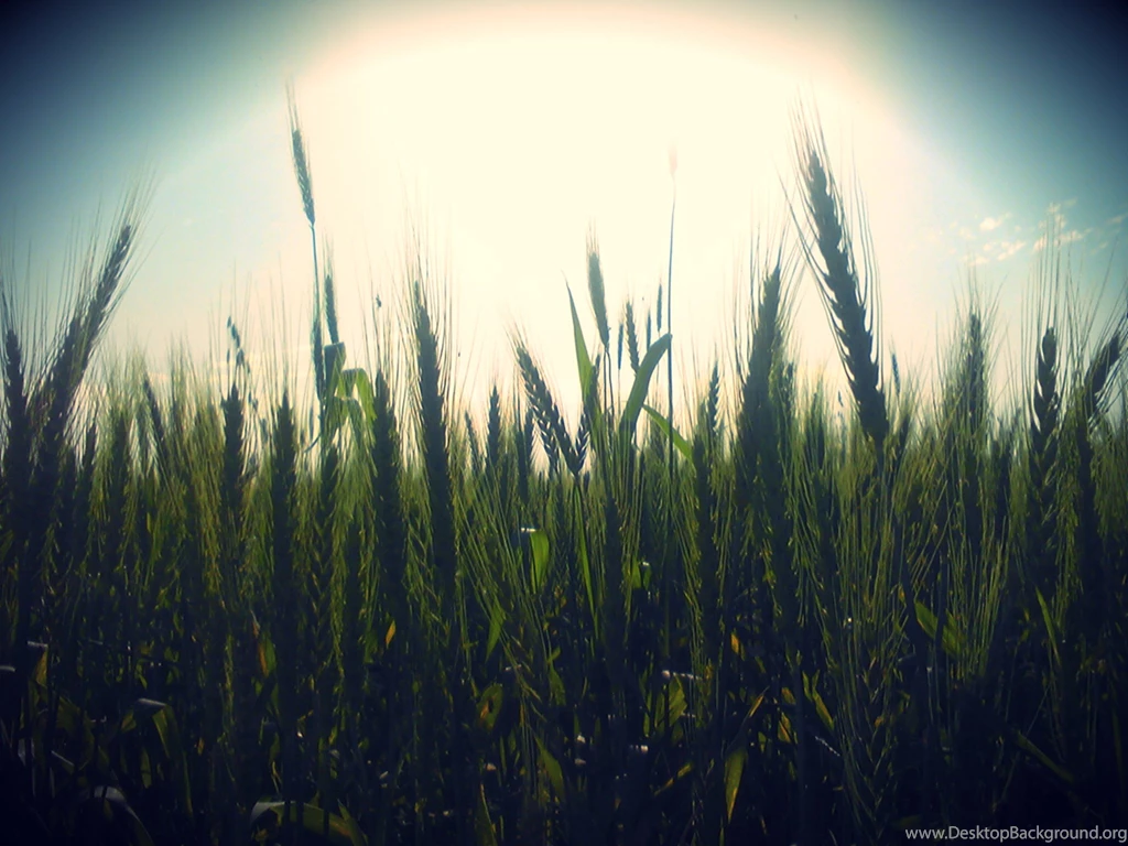 Hipster Wallpapers Phone @273 ~ Wallove