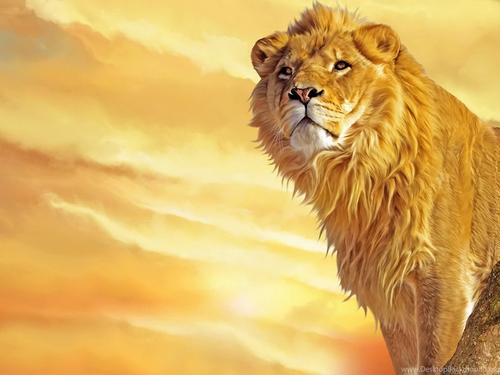 Cartoon Images For Painting HD Wallpapers Pretty