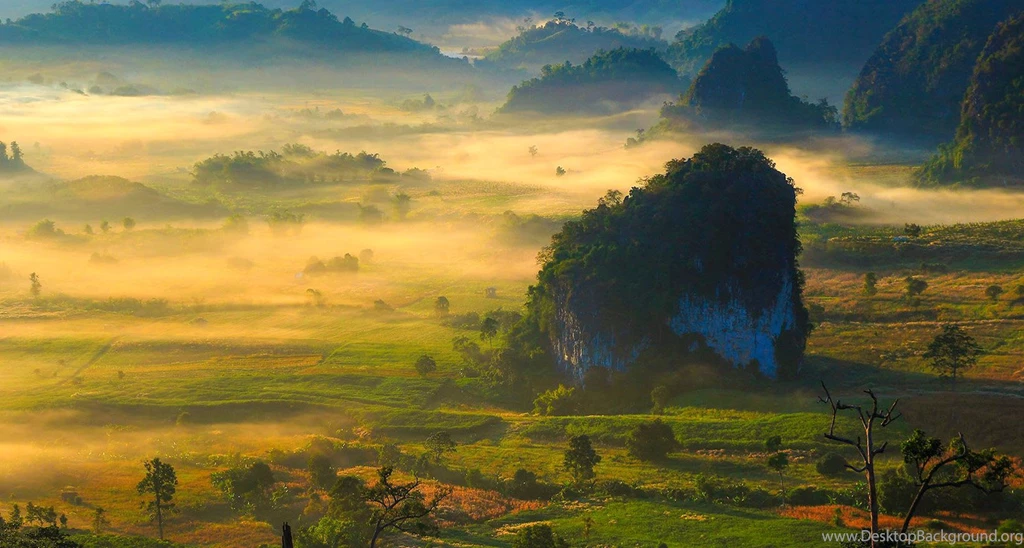 Hd Nature Images, Wallpapers Of Natures, Fresh Air, Widescreen ...