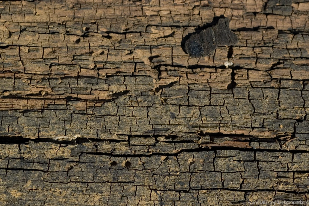 Wood HD Wallpapers 10 Download