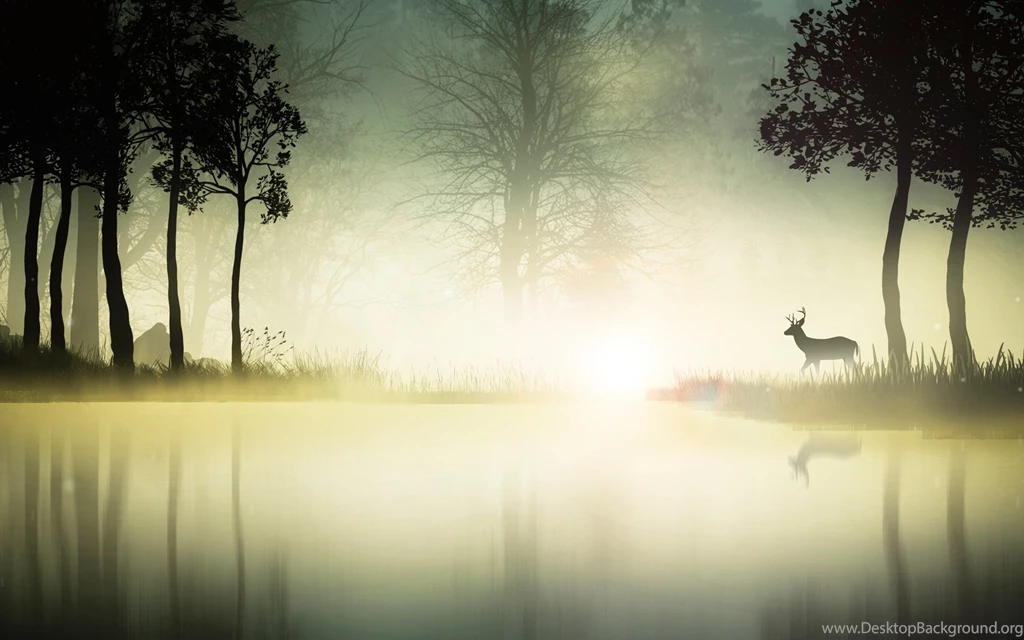 Forest Wallpapers, Images, Photos, Pictures & Pics