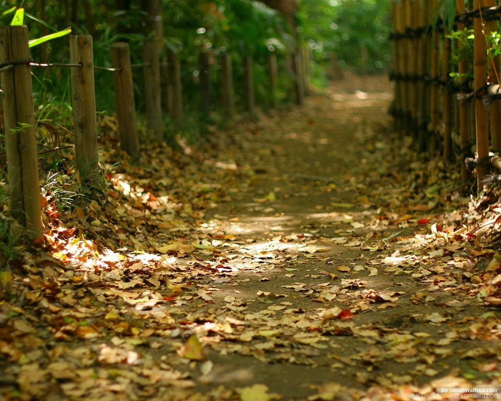 Beautiful Japanese Garden Wallpapers 1280x1024 NO.19 Desktop ...