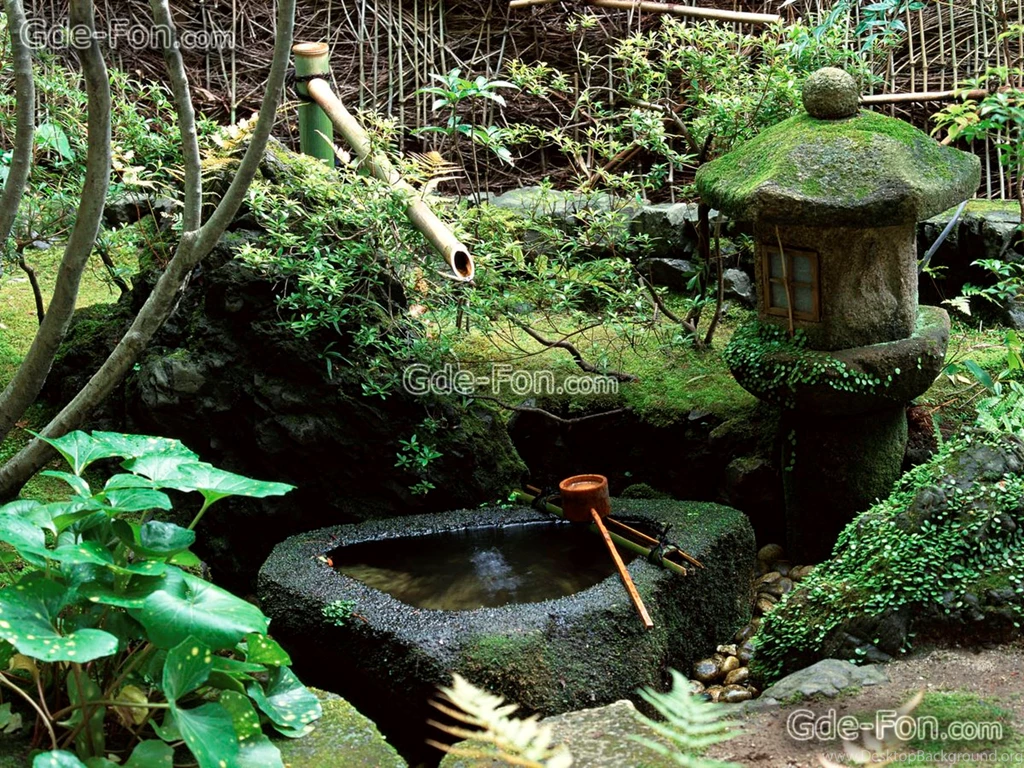 236422_chasha_ voda_ yaponskij sad_1600x1200_www.Gde Fon.com.jpg