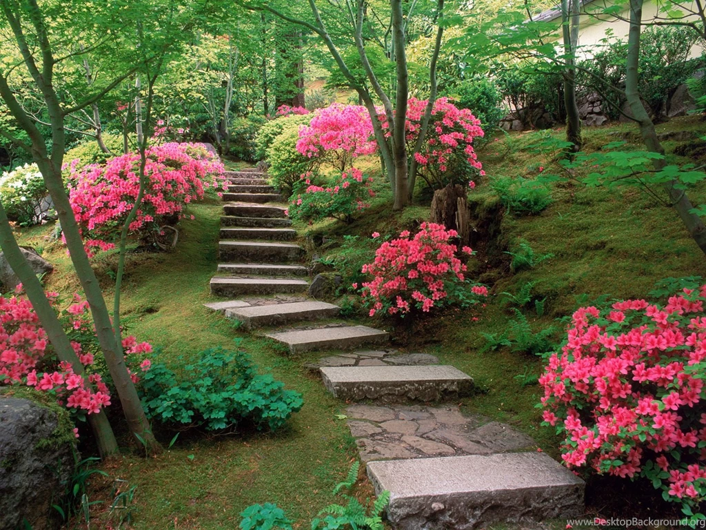 Azaleas Japanese Garden Wallpapers