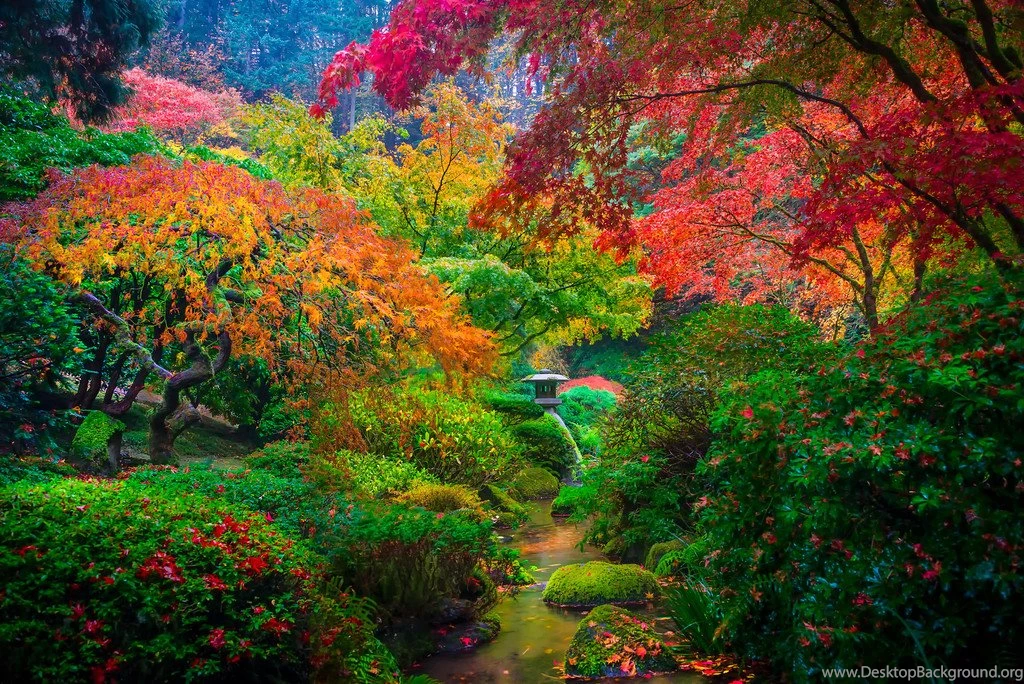 The Japanese Garden In Portland Oregon   Download Free HD ...