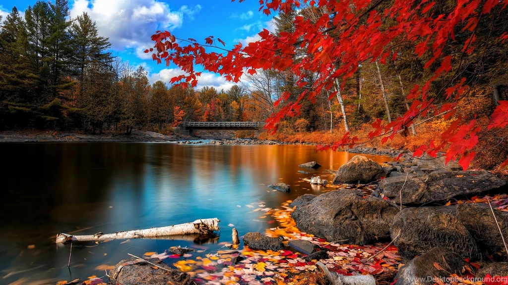 Beautiful Autumn Forest River Landscape Free Wallpapers HD