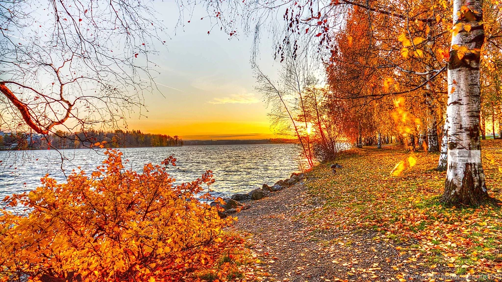 Beautiful Autumn Landscape 1920 X 1080 Wallpapers