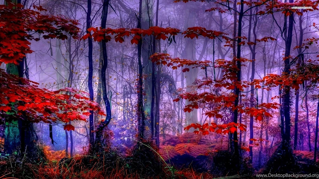 Beautiful Autumn Colors Wallpapers