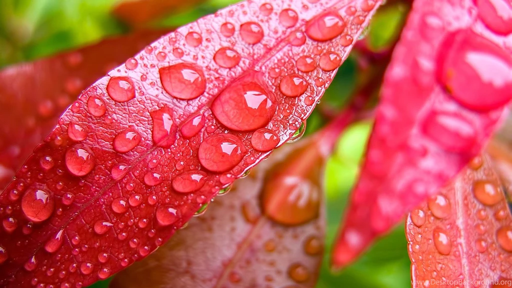 Beautiful Desktop HD Wallpapers