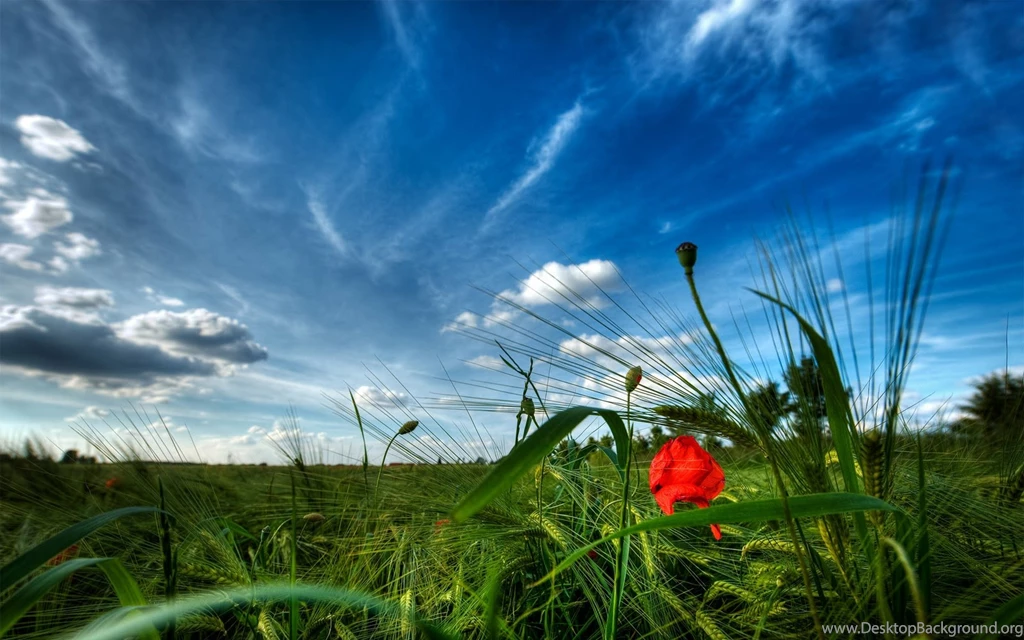 Beautiful Nature Wallpapers Desktop Backgrounds Full Screen Archives ...