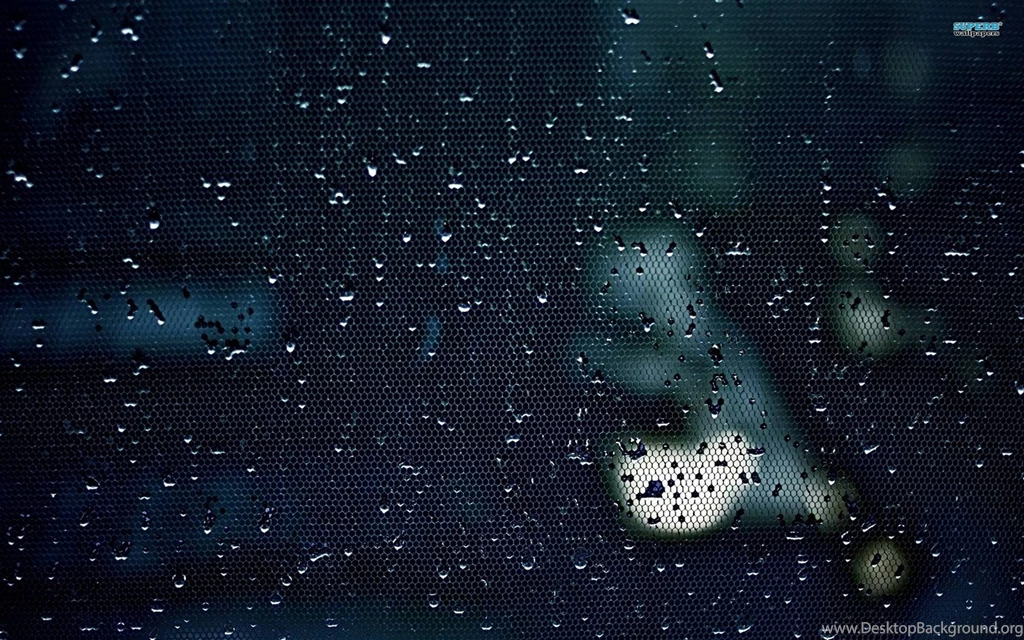 Water Drops On A Mesh Wallpapers   Photography Wallpapers
