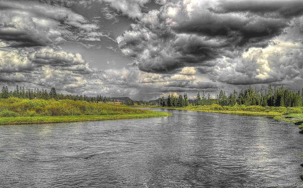 Fly Fishing In Yellowstone National Park: A Brief But Mixed Blessing
