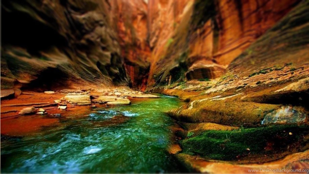 Fly fish for beginners   Fly Fishing Rod, Reel And Gear Reviews ...