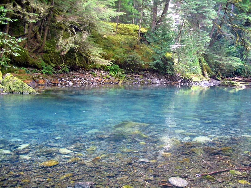 Fishing: Fly Fishing