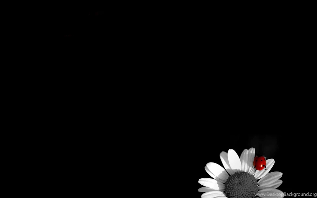 Desktop Backgrounds Black And White Wallpapers Cave